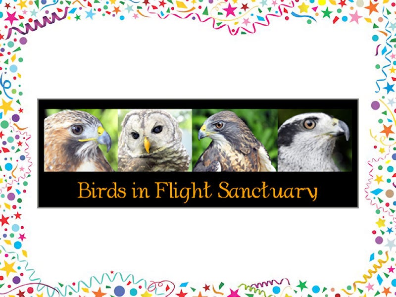 Birds In Flight Sanctuary Logo